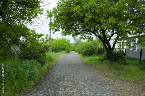  The road from the cobblestone passes through dense green vegetation.