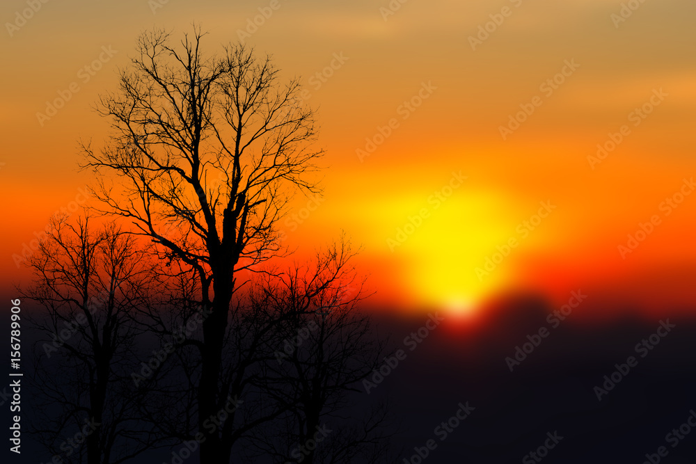 Mountain landscape at sunset.