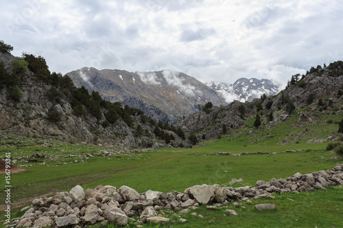 Mountain landscape with meadows rocks and pine trees