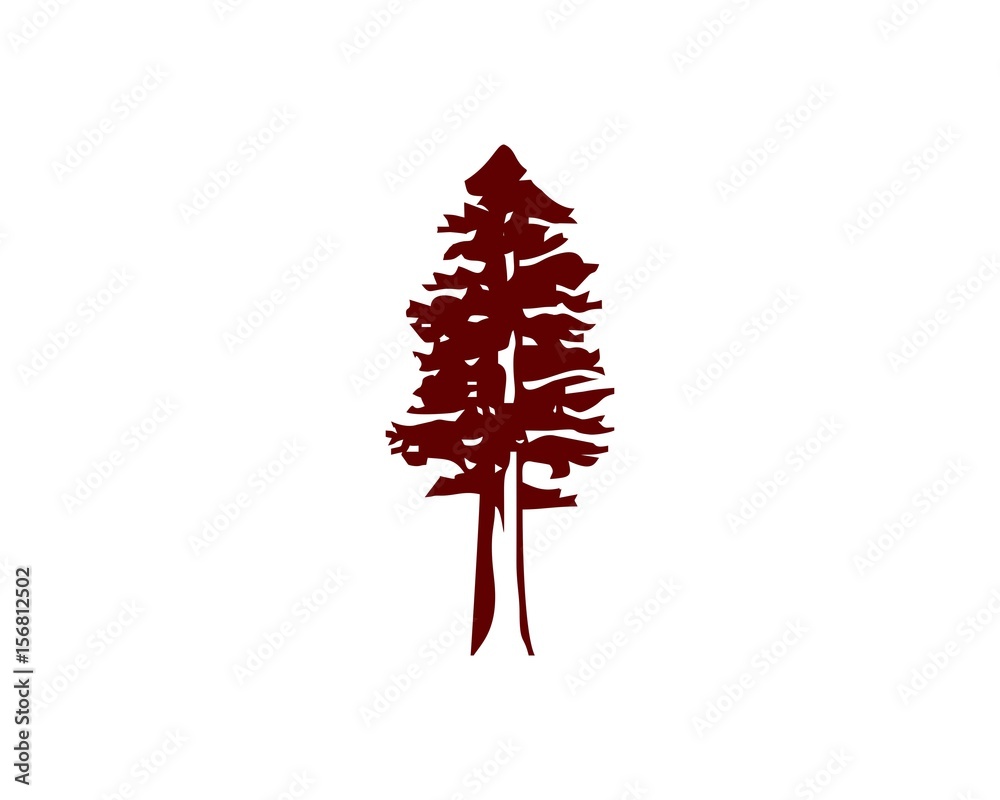 Obraz premium drzewo sekwoi