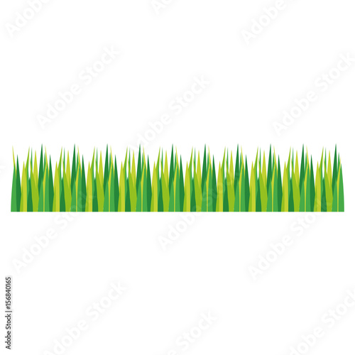 grass icon over white background. vector illustration