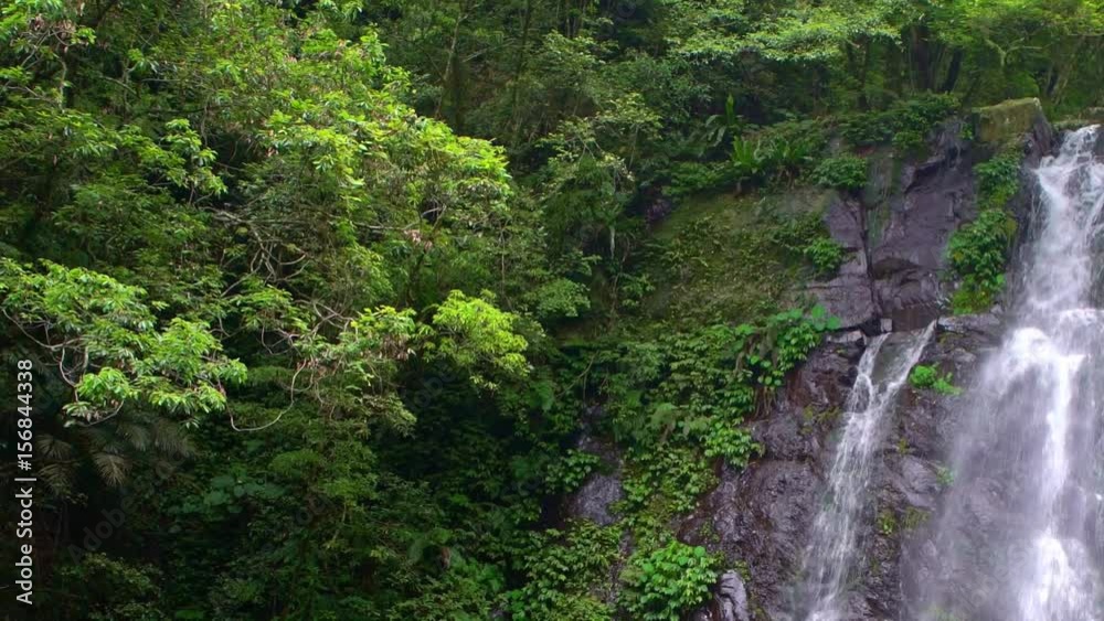 The natural beauty Virgen waterfall, view of the nature. Beautiful river cascades between the trees in the wild mountain of Taiwan. Forest of Manyueyuan, national recreation area Xinbei.-Dan The natural beauty Virgen waterfall, view of the nature. Beautiful river cascades between the trees in the wild mountain of Taiwan. Forest of Manyueyuan, national recreation area Xinbei.-Dan