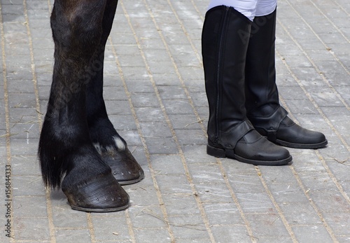 hooves with horseshoes