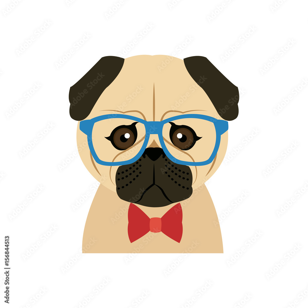 Portrait of a pug dog in glasses and a bow tie. Vector picture with the ...