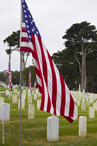 Memorial Day Flags photo