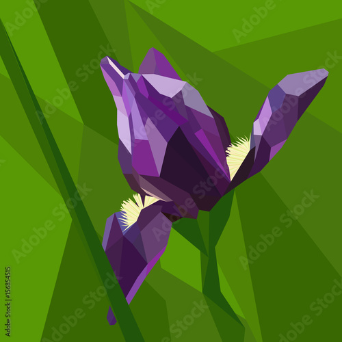 Fototapeta Naklejka Na Ścianę i Meble -  Polygonal flower