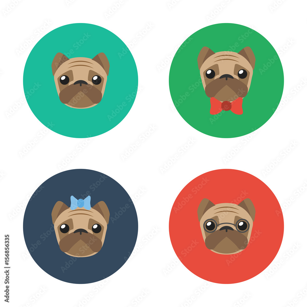 set of vector flat puppy pug icon isolated on white background. Dog character template for design your app or game set of vector flat puppy pug icon isolated on white background. Dog character template for design your app or game