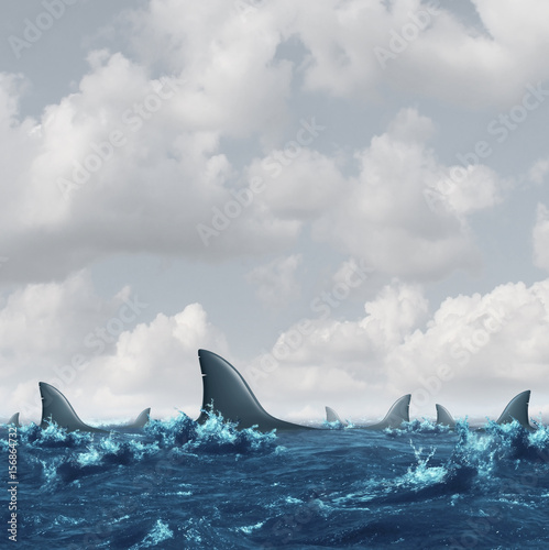 Shark Infested Waters