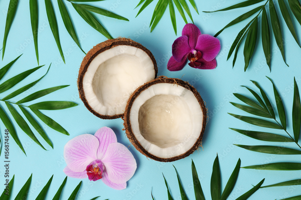beautiful tropical composition beautiful tropical composition