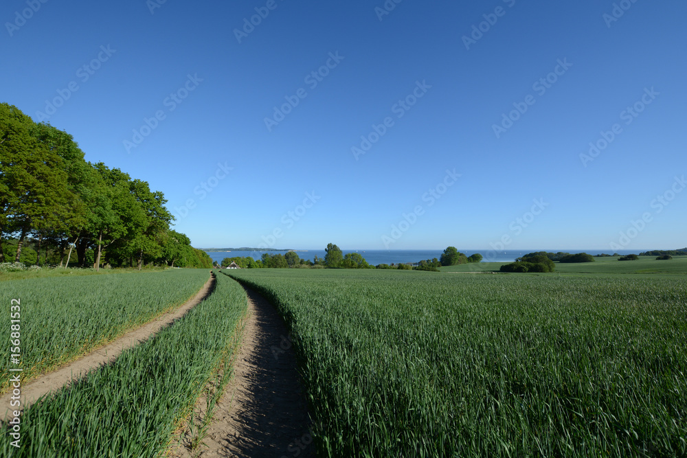 Obraz premium Neu Reedevitz, Rügen