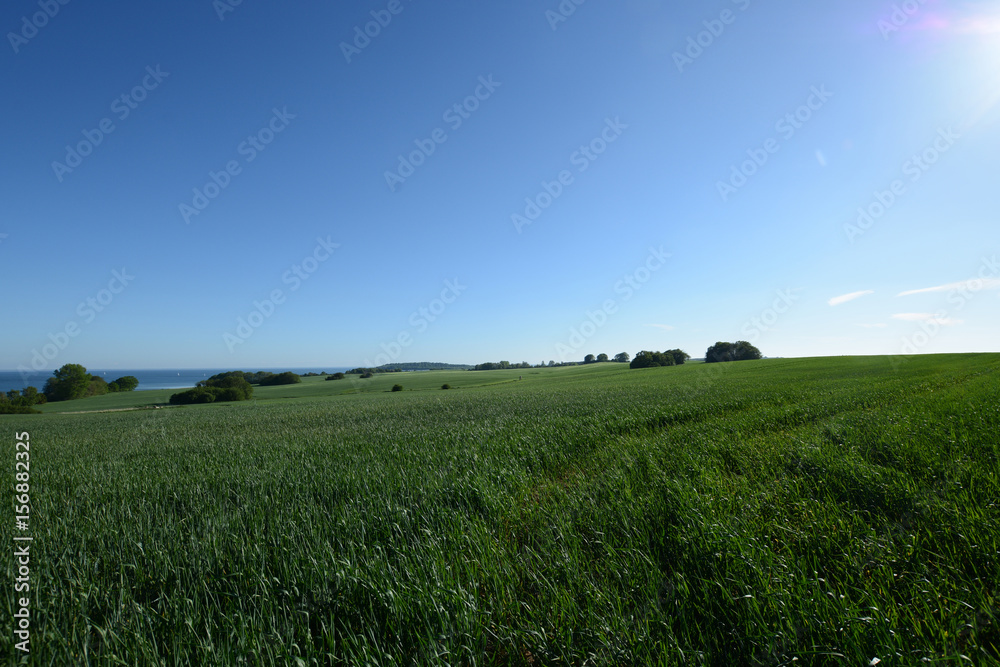 Neu Reedevitz, Rügen