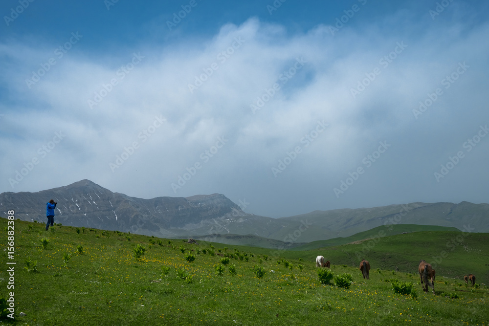 photographer is standing on a green meadow in the mountains on sky background with clouds pictures of horses photographer is standing on a green meadow in the mountains on sky background with clouds pictures of horses