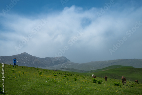 photographer is standing on a green meadow in the mountains on sky background with clouds pictures of horses