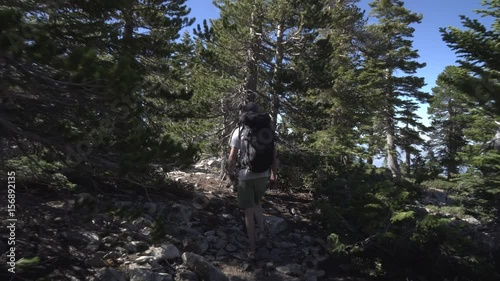 Backpacker hiking through trees and ending on a log with a view
