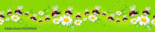 Ladybugs decoration line