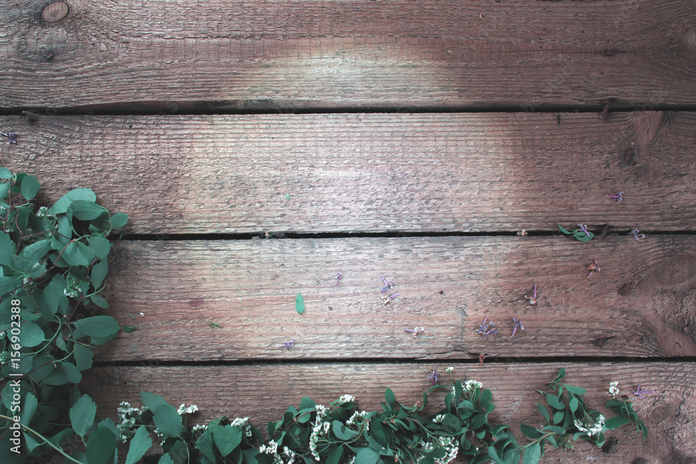 Spiraea branches on a wooden background. Spiraea branches on a wooden background.