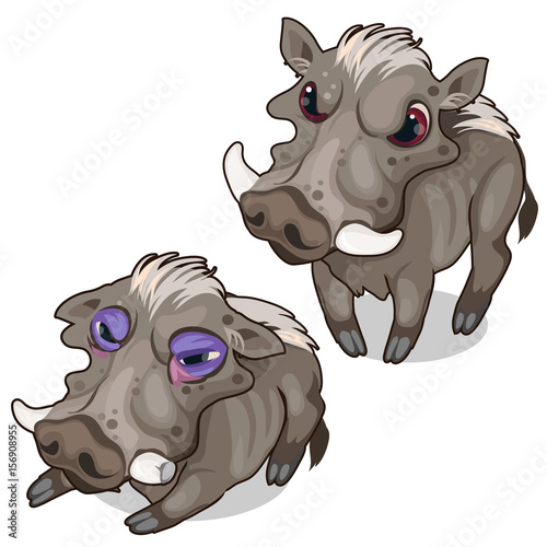 African warthogs, angry and sick. Vector animal