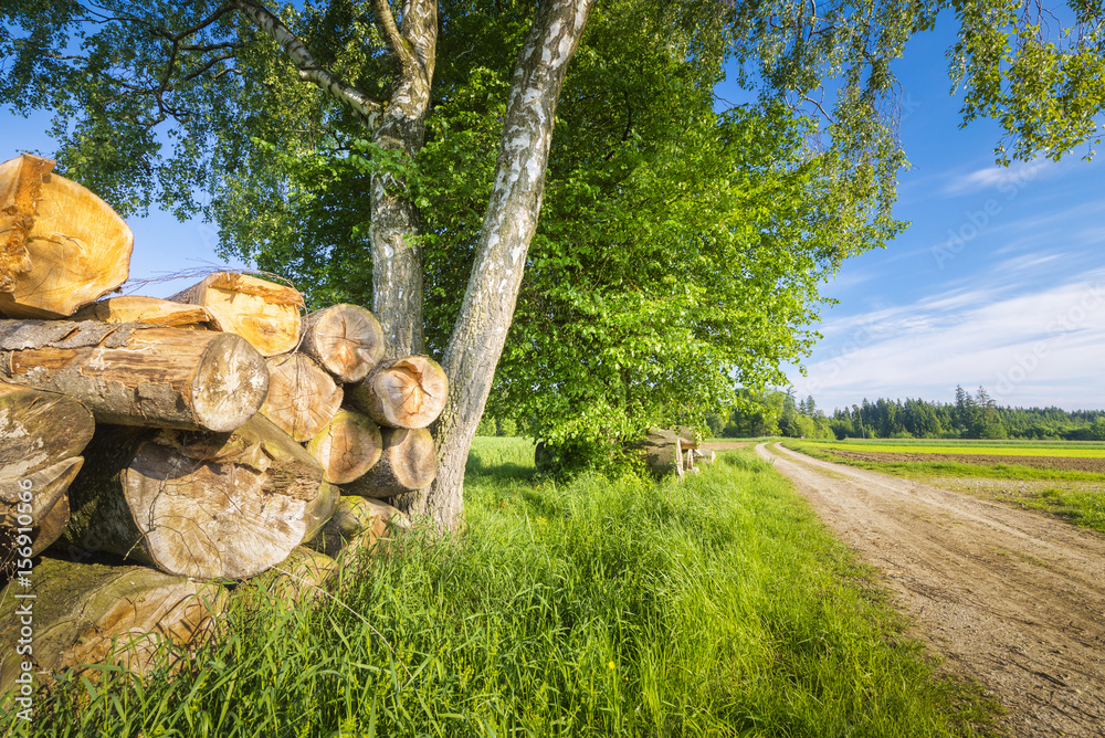Sommerlicher Wanderweg im Allgäu | Deutschland Sommerlicher Wanderweg im Allgäu | Deutschland