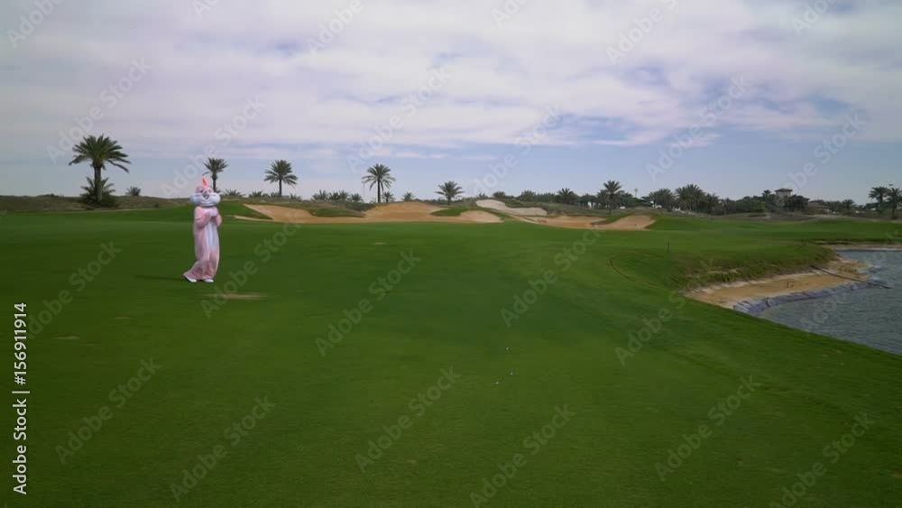 Easter Bunny jumping and running on the grass on golf course Easter Bunny jumping and running on the grass on golf course