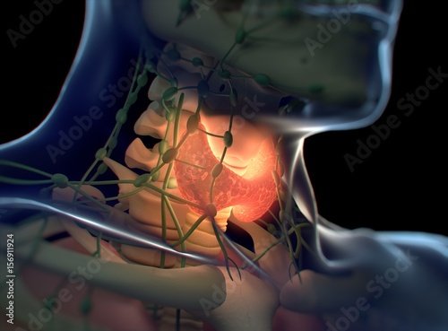 Thyroid gland inside human body. Glowing red. 3D illustration.