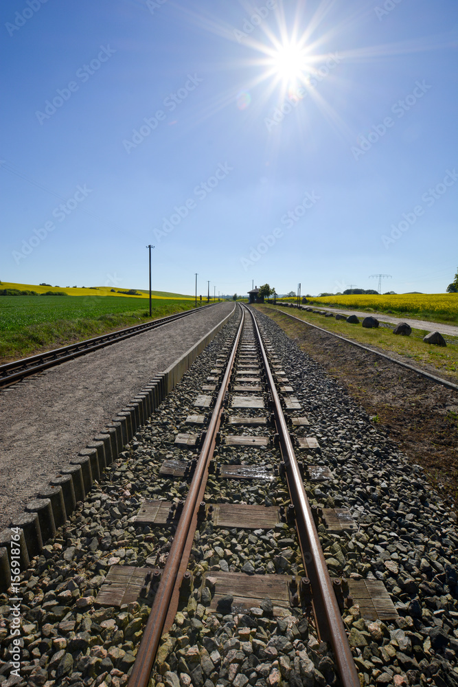 Eisenbahnschinen durchs Rapsfeld in Sellvitz, Rügen