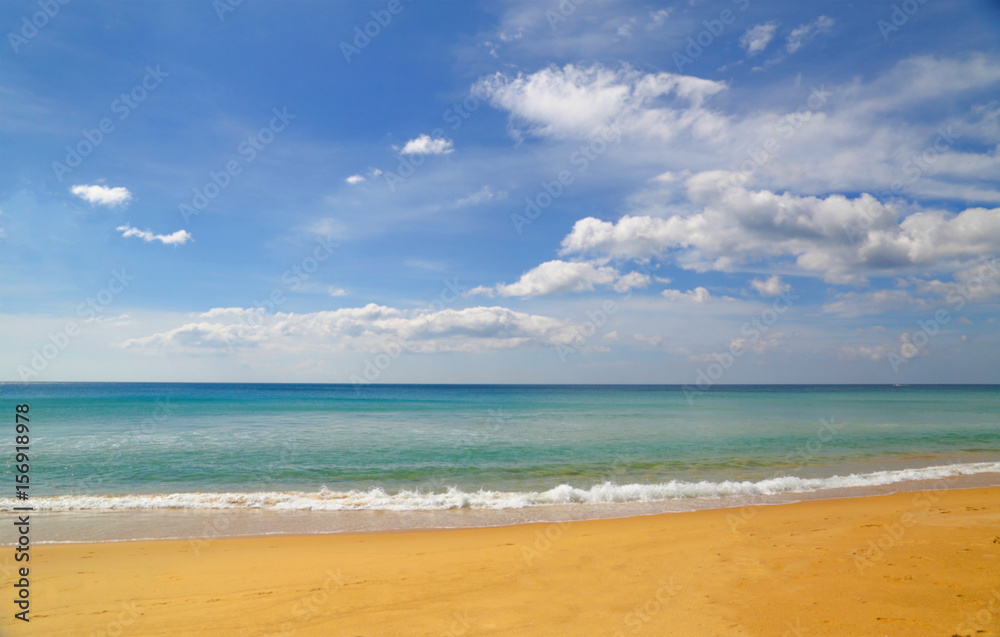 Beach on the shore of the picturesque sea.