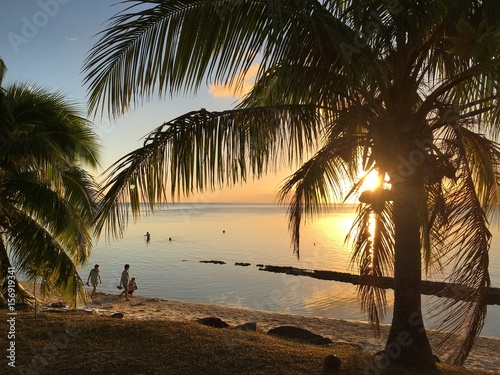 Beautiful white sanded beach and palm trees in the early sunset  Moorea  Tahiti  French Polynesia