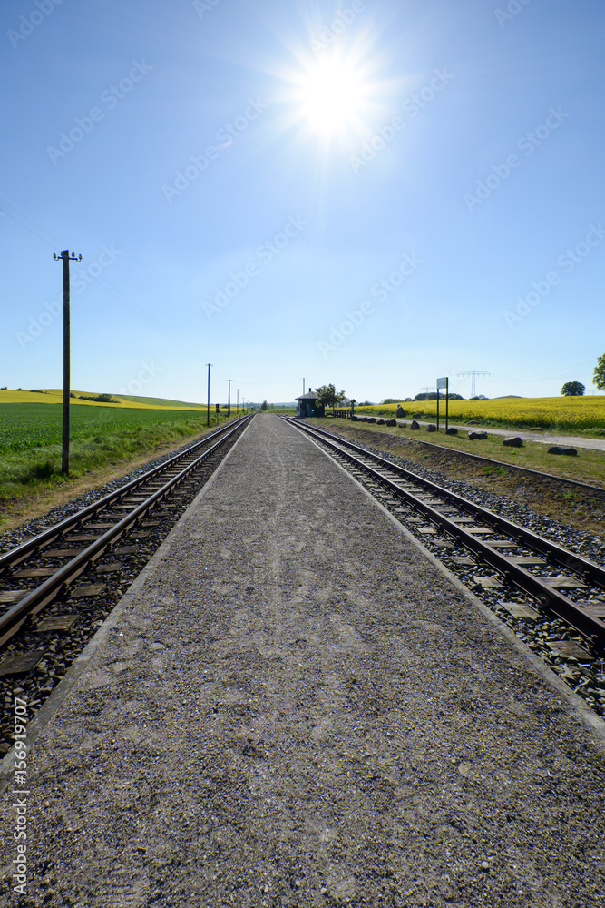 Eisenbahnschinen durchs Rapsfeld in Sellvitz, Rügen