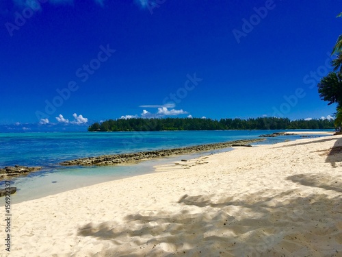 Beautiful white sanded beach and turquoise lagoon of Moorea  Tahiti  French Polynesia