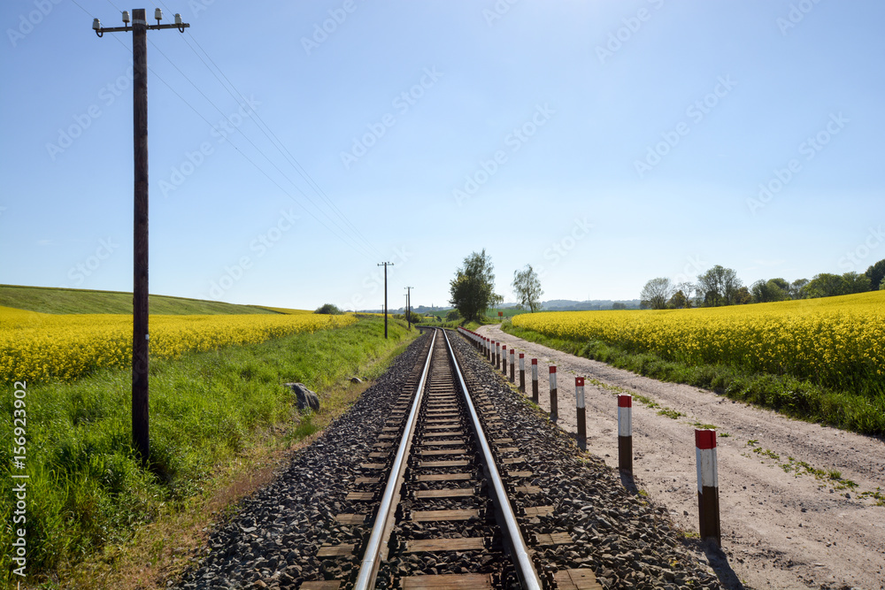 Eisenbahnschinen durchs Rapsfeld in Sellvitz, Rügen