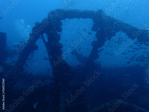 インド洋の沈船に群がる魚たちとダイバー © nori