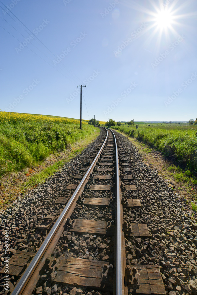 Obraz premium Eisenbahnschinen durchs Rapsfeld in Sellvitz, Rügen