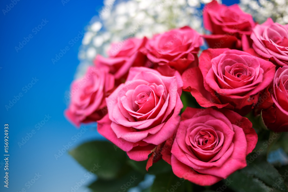 Obraz premium バラの花