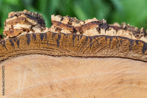 sawn wood texture as background