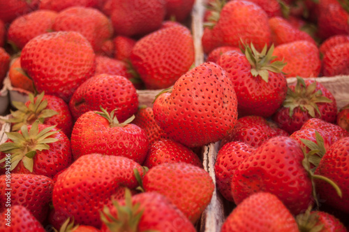 détail fraises bio  en barquettes au marché 