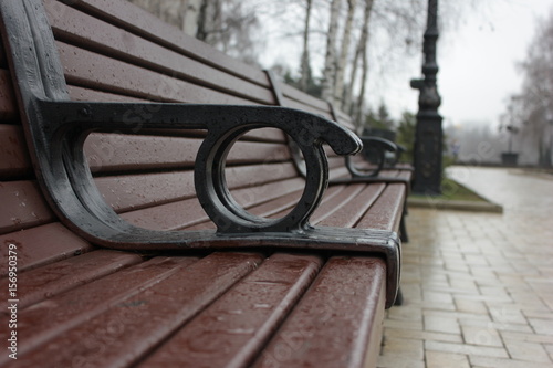 bench © Александр Науменко