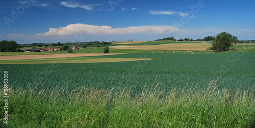 Canvastavla Paysage champêtre de Braine-le-Comte, dans le Hainaut en Belgique, par une belle journée ensoleillée
