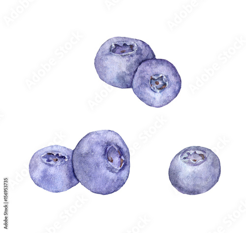 Blueberry berries. Watercolor photo