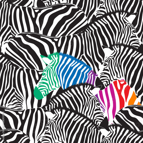 Black and colorful zebra seamless pattern. Wild animal texture. Striped black and white. design trendy fabric texture, vector illustration.