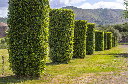 giardino, villa Adriana Tivoli photo