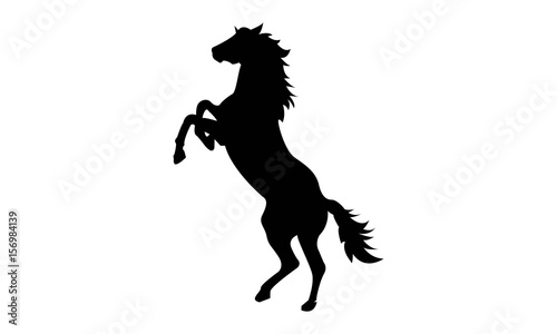 Fototapeta Naklejka Na Ścianę i Meble -  Horse Silhouette Logo Template 