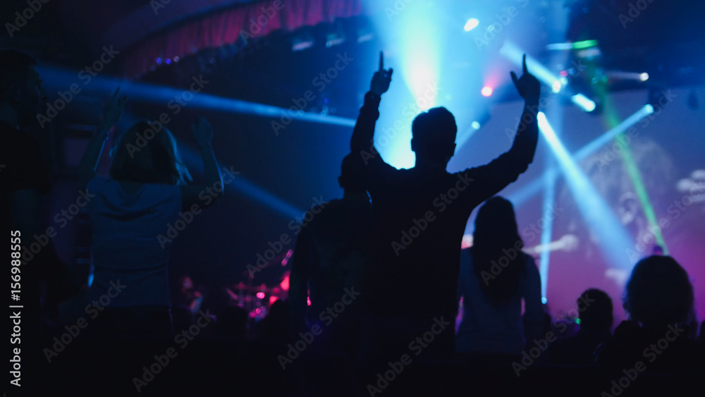 © KONSTANTIN SHISHKIN - Silhouette of spectators dancing at the concert