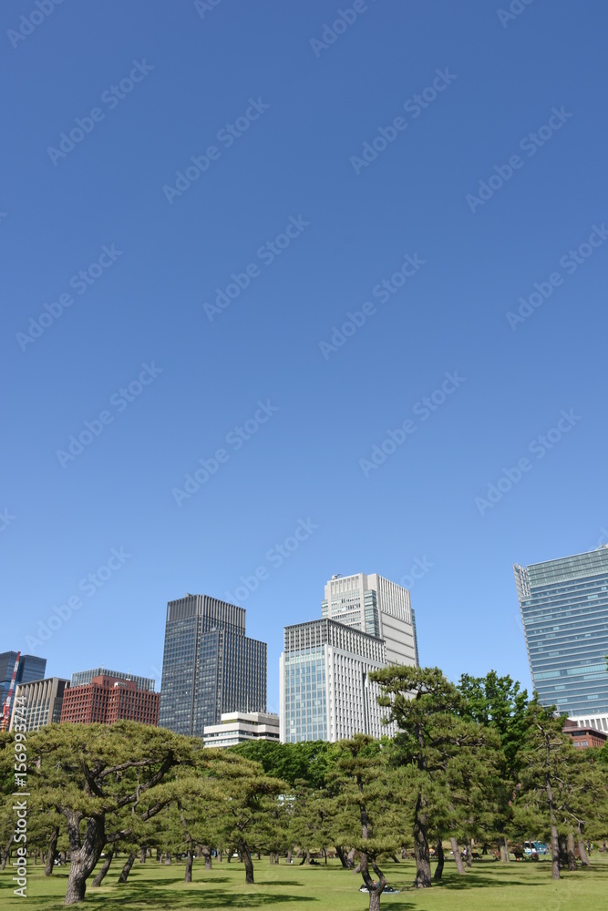 日本・東京の都市風景「青空とビル群」丸の内方面を望む
