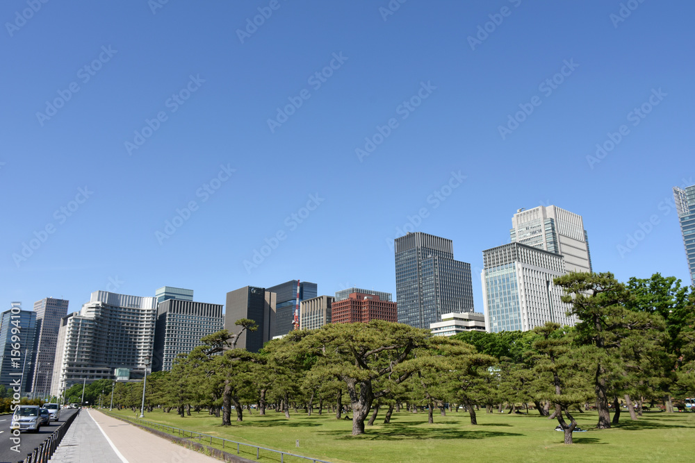 日本の東京都市景観「青空と高層ビル群」（大手町、丸の内方向を望む）