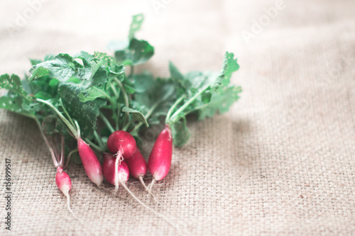 Radish fresh on a wooden background concept.