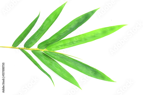 Fototapeta Naklejka Na Ścianę i Meble -  bamboo leaves on White background texture.beautiful surface