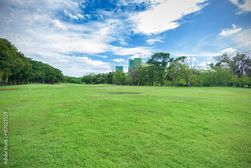 Green grass field in park at city center with blue sky