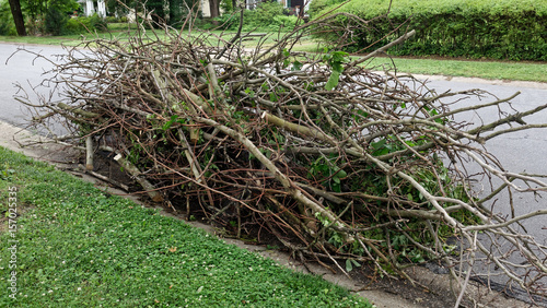 Bundled stack of pruned branches and limbs placed curbside for pickup. photo