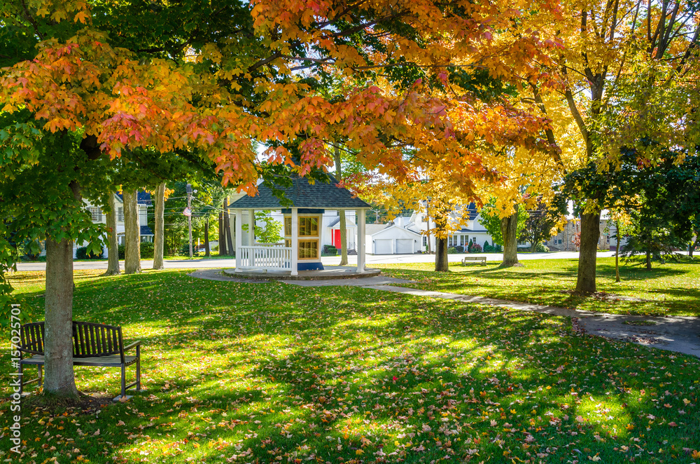 Empty Public Park in a Small Town on a Sunny Fall Day. The Lawn is Covered of Fallen Leaves.