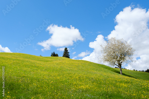 Switzerland: Appenzellerland (Canton of Appenzell) photo